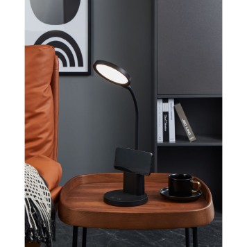 Лампа настольная Eglo Brolini 900528-2