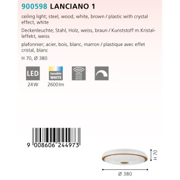 Светильник настенно-потолочный Eglo Lanciano 1 900598-7