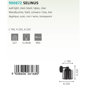 Уличный настенный светильник Eglo Selinus 900672-2