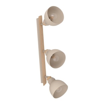 Спот Eglo Arrecife 900713-2