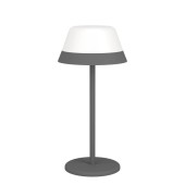 Лампа настольная Eglo Meggiano 900978