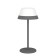 Лампа настольная Eglo Meggiano 900978