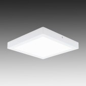 Светильник настенно-потолочный Eglo Fueva 1 94538