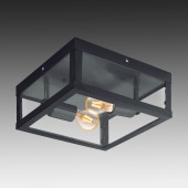 Уличный настенно-потолочный светильник Eglo Alamonte 1 94832