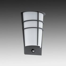 Уличный настенный светильник Eglo Breganzo 1 96018