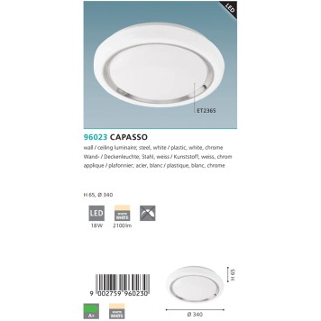 Светильник настенно-потолочный Eglo Capasso 96023-2
