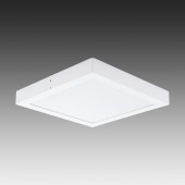 Светильник настенно-потолочный Eglo Fueva 1 96169