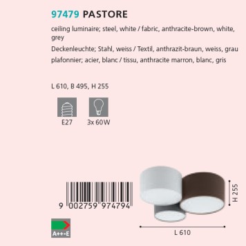 Светильник потолочный Eglo Pastore 97479-1