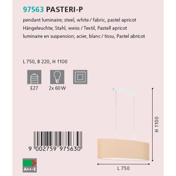 Люстра Eglo Pasteri-P 97563-2