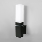 Уличный настенный светильник Elektrostandard 1534 TECHNO LED Black