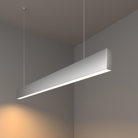 Люстра Elektrostandard 20W 3000K 101-200-30-103 Silver