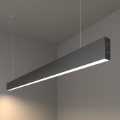 Люстра Elektrostandard 25W 4200K 101-200-30-128 Black