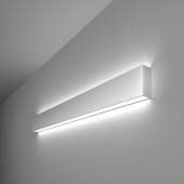 Настенный светильник Elektrostandard 30W 6500K 101-100-40-78 Silver