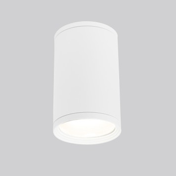 Уличный потолочный светильник Elektrostandard Light 2101 35128/H White
