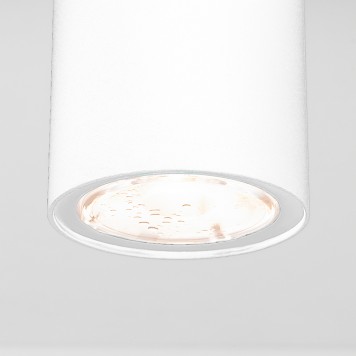 Уличный потолочный светильник Elektrostandard Light 2102 35129/H White-1