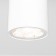 Уличный потолочный светильник Elektrostandard Light 2102 35129/H White