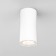 Уличный потолочный светильник Elektrostandard Light 2102 35129/H White