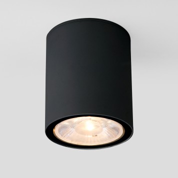 Уличный потолочный светильник Elektrostandard Light 2103 35131/H Black