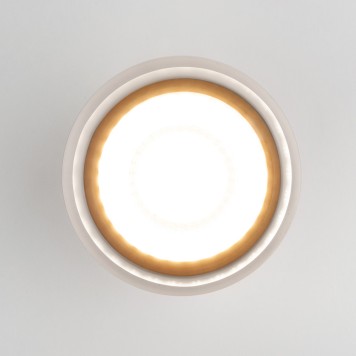 Уличный потолочный светильник Elektrostandard Light 2107 35140/H White-3