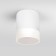 Уличный потолочный светильник Elektrostandard Light 2107 35140/H White