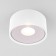 Уличный потолочный светильник Elektrostandard Light 2135 35141/H White