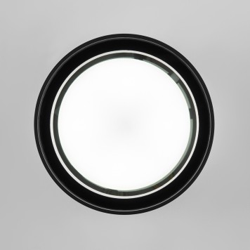 Уличный потолочный светильник Elektrostandard Light 35144/H Black-1