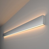 Настенный светильник Elektrostandard 50W 3000K 101-100-40-128 Silver