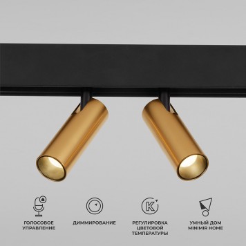 Трековый светильник Elektrostandard Slim Magnetic 85056/01 Brass-3