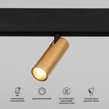 Трековый светильник Elektrostandard Slim Magnetic 85070/01 Brass-2