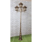 Уличный фонарь Elektrostandard Cassiopeya F/3