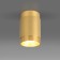 Светильник точечный Elektrostandard Tony DLN109 GU10 Gold