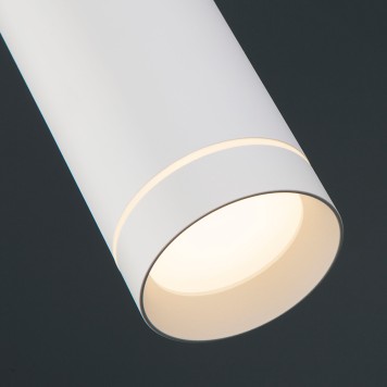 Люстра Elektrostandard DLR023 12W 4200K White-5