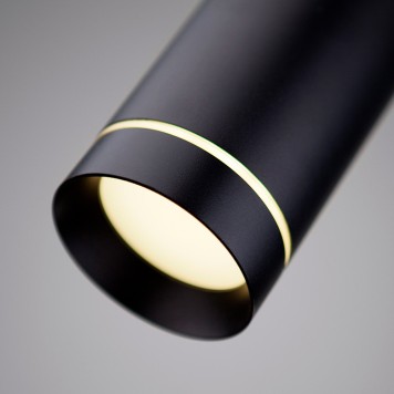 Люстра Elektrostandard Topper DLR023 Black Matte-2