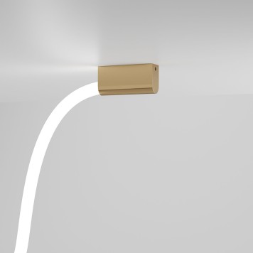 Накладное крепление Elektrostandard Full light FL 28101 Brass-3