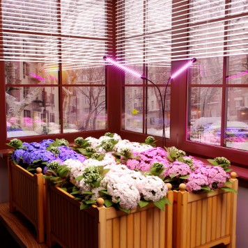 Лампа настольная Elektrostandard FT-005-7