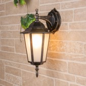 Уличный настенный светильник Elektrostandard GL 1004D Black Gold