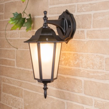 Уличный настенный светильник Elektrostandard GL 1004D Black-1