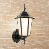 Уличный настенный светильник Elektrostandard GL 1004U Black Gold