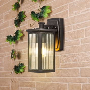 Уличный настенный светильник Elektrostandard Lame GL 1006D