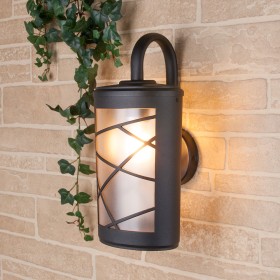 Уличный настенный светильник Elektrostandard Premier D GL 1017D