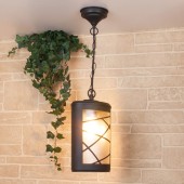 Уличный потолочный светильник Elektrostandard Premier H GL 1017H