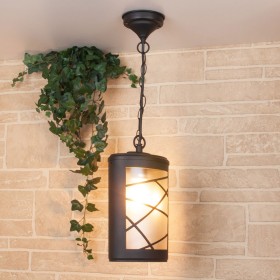 Уличный потолочный светильник Elektrostandard Premier H GL 1017H