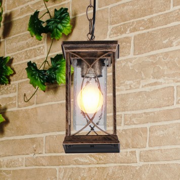 Уличный потолочный светильник Elektrostandard Spica H GL 1026H Black Gold