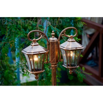 Уличный фонарь Elektrostandard Virgo GLXT-1450F/2 Black Gold-1