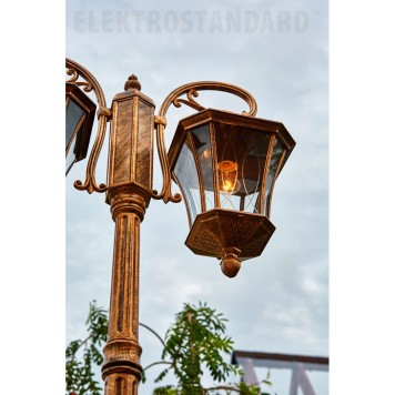 Уличный фонарь Elektrostandard Virgo GLXT-1450F/2 Black Gold-3
