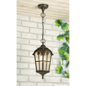 Уличный потолочный светильник Elektrostandard Mira H Уличный потолочный светильник Elektrostandard Mira H