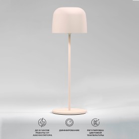 Лампа настольная Elektrostandard Bitty TL70260 Beige