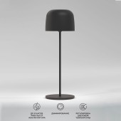 Лампа настольная Elektrostandard Bitty TL70260 Black