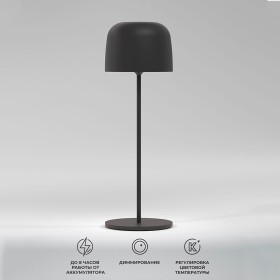 Лампа настольная Elektrostandard Bitty TL70260 Black