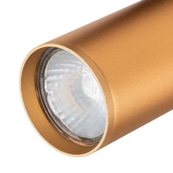 Трековый светильник Escada 20001TRA/01 BR-4